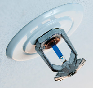 IMPRESS TECH LLC UAE- MEP SERVICES_ELectrical and Lighting